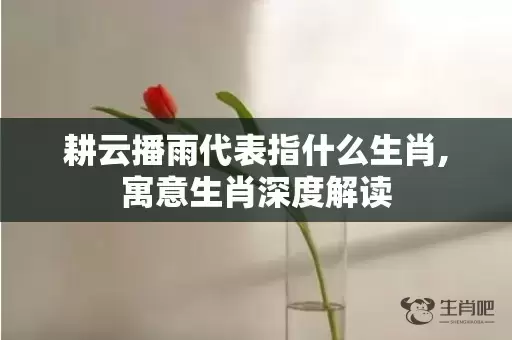 耕云播雨代表指什么生肖,寓意生肖深度解读插图