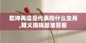 乾坤再造是代表指什么生肖,释义揭晓最准答案