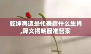 乾坤再造是代表指什么生肖,释义揭晓最准答案