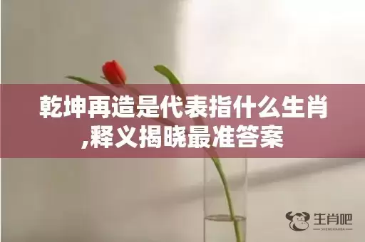 乾坤再造是代表指什么生肖,释义揭晓最准答案插图