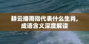 耕云播雨指代表什么生肖,成语含义深度解读