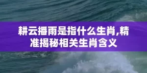 耕云播雨是指什么生肖,精准揭秘相关生肖含义