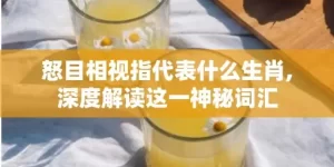 怒目相视指代表什么生肖,深度解读这一神秘词汇