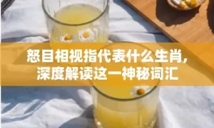 怒目相视指代表什么生肖,深度解读这一神秘词汇