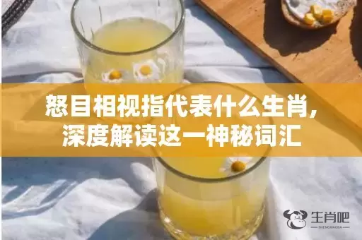 怒目相视指代表什么生肖,深度解读这一神秘词汇插图