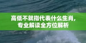 高低不就指代表什么生肖,专业解读全方位解析