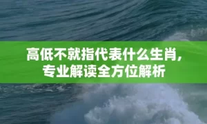 高低不就指代表什么生肖,专业解读全方位解析