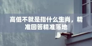 高低不就是指什么生肖，精准回答精准落地