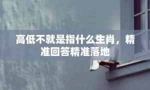 高低不就是指什么生肖，精准回答精准落地