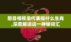 怒目相视是代表指什么生肖,深度解读这一神秘词汇