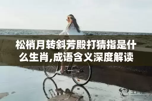 松梢月转斜芳殿打猜指是什么生肖,成语含义深度解读插图