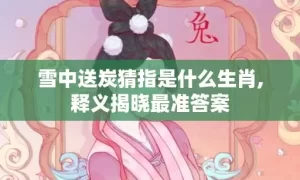 雪中送炭猜指是什么生肖,释义揭晓最准答案