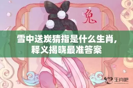 雪中送炭猜指是什么生肖,释义揭晓最准答案插图