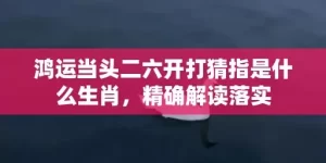 鸿运当头二六开打猜指是什么生肖，精确解读落实