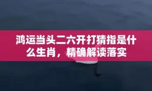 鸿运当头二六开打猜指是什么生肖，精确解读落实