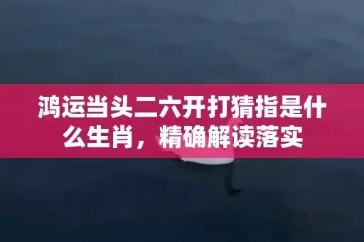 鸿运当头二六开打猜指是什么生肖，精确解读落实插图