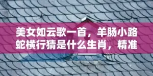 美女如云歌一首，羊肠小路蛇横行猜是什么生肖，精准回答精准落地