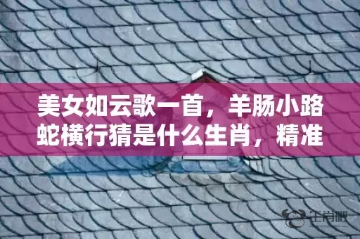 美女如云歌一首，羊肠小路蛇横行猜是什么生肖，精准回答精准落地插图