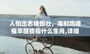 人怕出名猪怕壮，准时鸡啼催早醒猜指什么生肖,详细解析告诉你答案