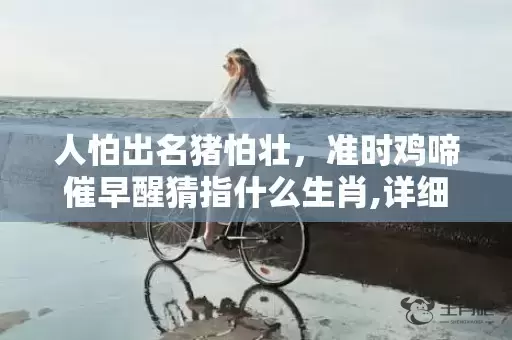 人怕出名猪怕壮，准时鸡啼催早醒猜指什么生肖,详细解析告诉你答案插图
