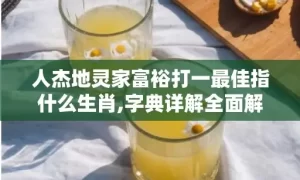 人杰地灵家富裕打一最佳指什么生肖,字典详解全面解读