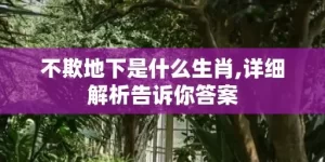 不欺地下是什么生肖,详细解析告诉你答案