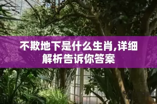 不欺地下是什么生肖,详细解析告诉你答案插图