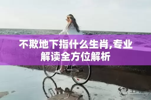 不欺地下指什么生肖,专业解读全方位解析插图