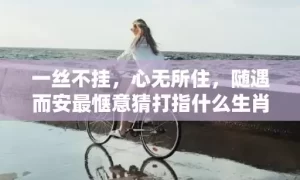 一丝不挂，心无所住，随遇而安最惬意猜打指什么生肖,释义揭晓最准答案