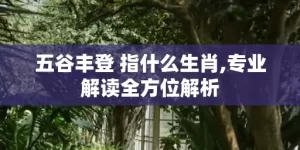五谷丰登 指什么生肖,专业解读全方位解析