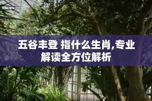 五谷丰登 指什么生肖,专业解读全方位解析插图