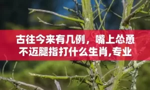 古往今来有几例,嘴上怂恿不迈腿指打什么生肖,专业解读全方位解析缩略图 古往今来有几例,嘴上怂恿不迈腿指打什么生肖,专业解读全方位解析