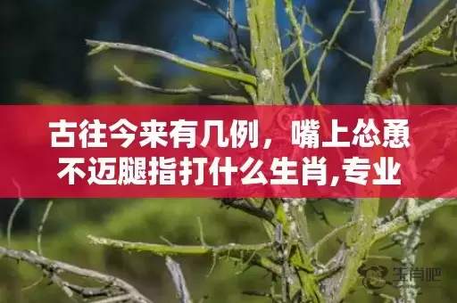 古往今来有几例，嘴上怂恿不迈腿指打什么生肖,专业解读全方位解析插图