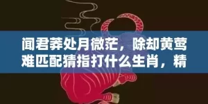 闻君莽处月微茫，除却黄莺难匹配猜指打什么生肖，精准回答精准落地