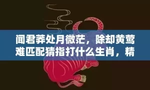 闻君莽处月微茫，除却黄莺难匹配猜指打什么生肖，精准回答精准落地