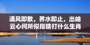 遇风即散，界水即止，出岫云心何所似指猜打什么生肖，精准回答精准落地