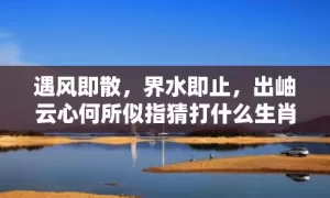 遇风即散，界水即止，出岫云心何所似指猜打什么生肖，精准回答精准落地
