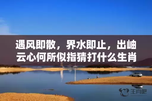 遇风即散，界水即止，出岫云心何所似指猜打什么生肖，精准回答精准落地插图