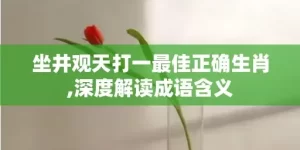 坐井观天打一最佳正确生肖,深度解读成语含义