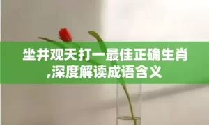 坐井观天打一最佳正确生肖,深度解读成语含义