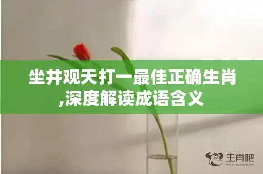 坐井观天打一最佳正确生肖,深度解读成语含义插图