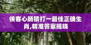 侠客心肠猜打一最佳正确生肖,精准答案揭晓