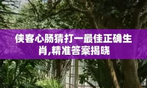侠客心肠猜打一最佳正确生肖,精准答案揭晓