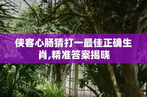 侠客心肠猜打一最佳正确生肖,精准答案揭晓插图