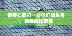 侠客心肠打一最佳准确生肖，精确解读落实