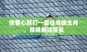 侠客心肠打一最佳准确生肖，精确解读落实