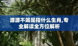 源源不竭是指什么生肖,专业解读全方位解析