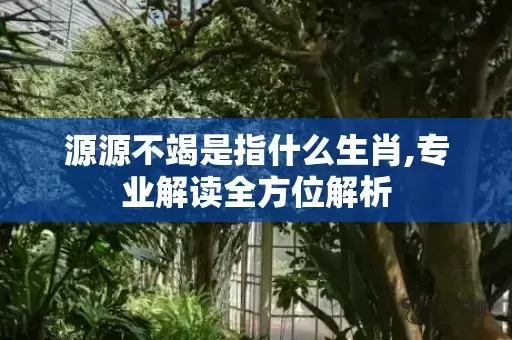 源源不竭是指什么生肖,专业解读全方位解析插图