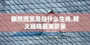 冁然而笑是指什么生肖,释义揭晓最准答案