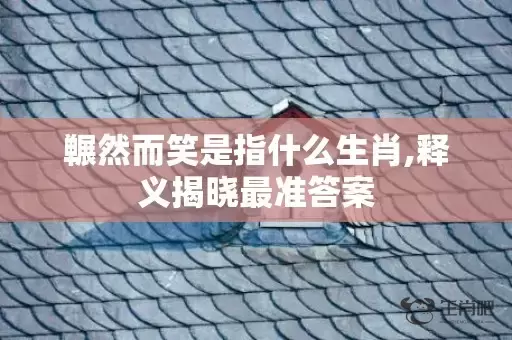 冁然而笑是指什么生肖,释义揭晓最准答案插图